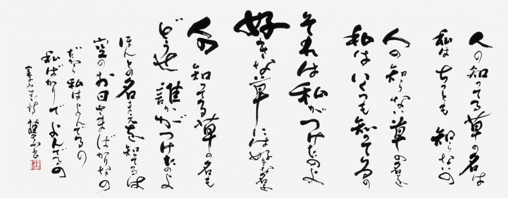 61只埜桂花
